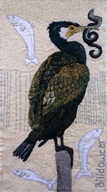Cormorant