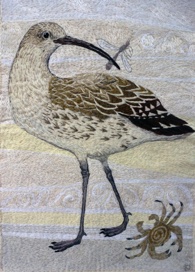 Curlew