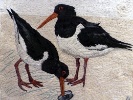 Oystercatchers
