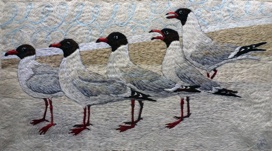 Five Black Headed Gulls