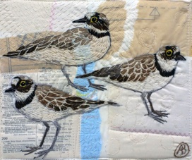 Plovers