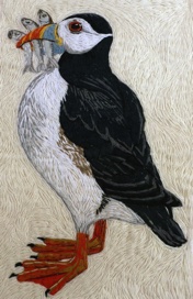 Puffin