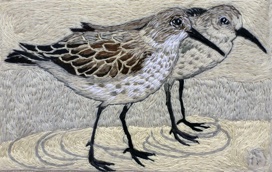 Small Waders