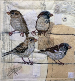 Four Sparrows