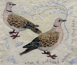 Collared Doves