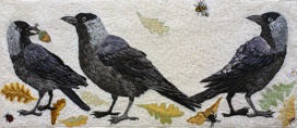 Three Jackdaws And A Bee