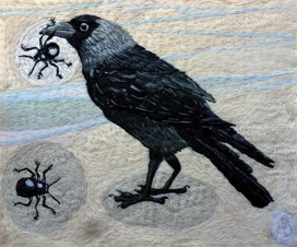 Jackdaw With Bettle