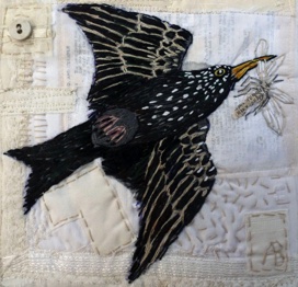Starling And Mayfly